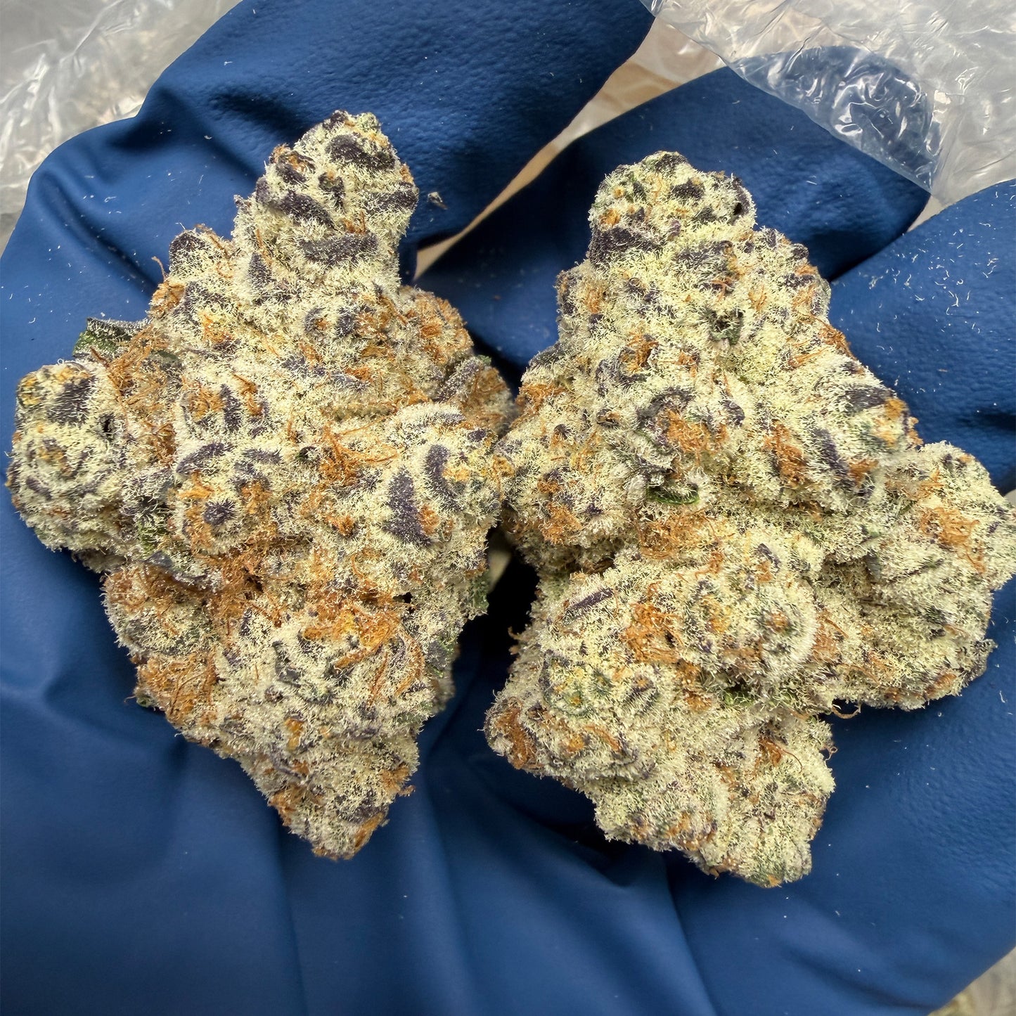 Dante's Inferno THCA Flower