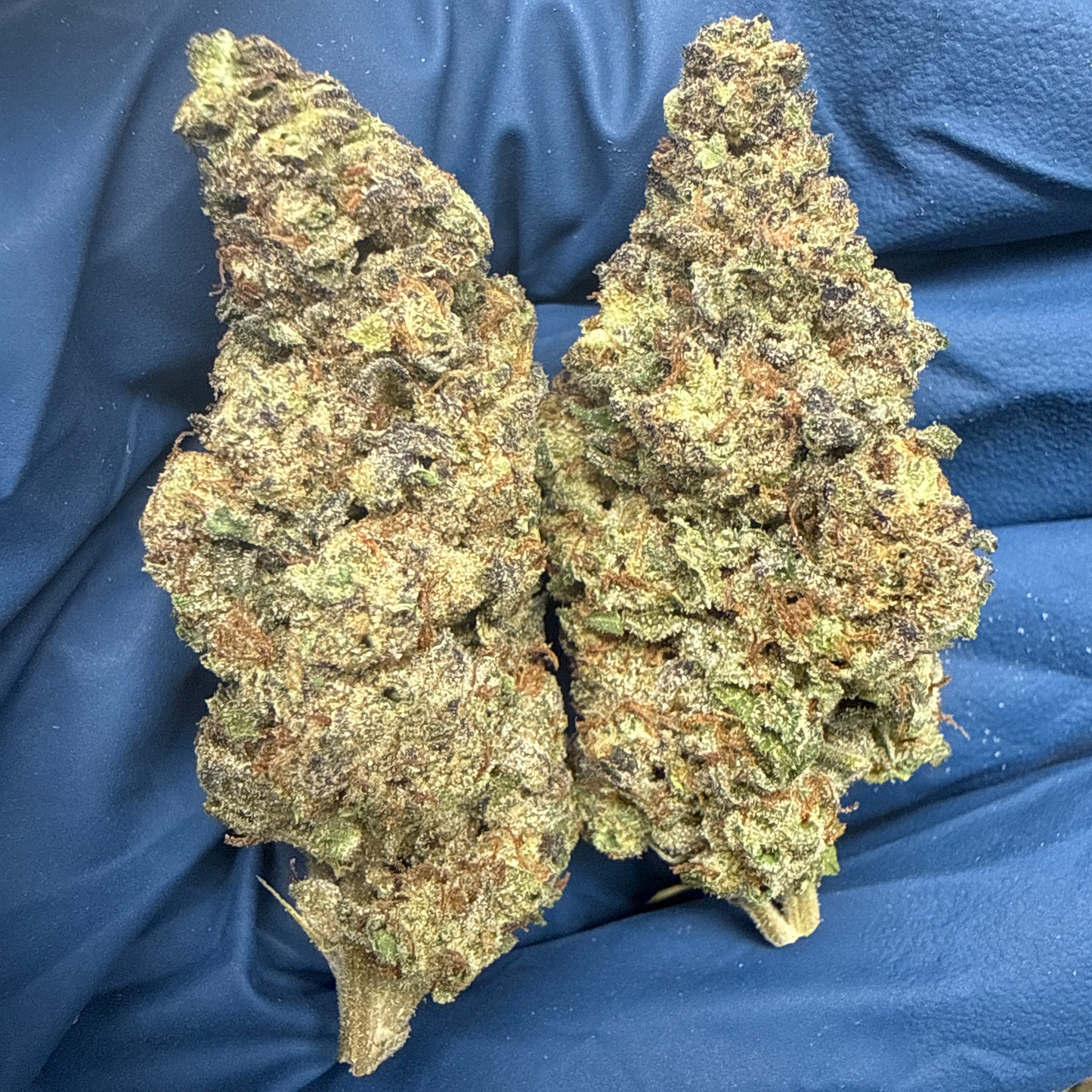 Garlic Mintz THCA Flower