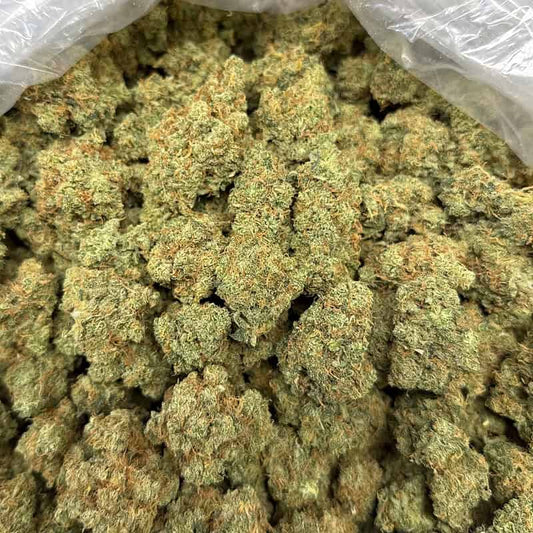 Jack Herer THCA Flower