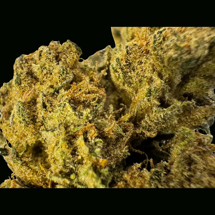 Molotov Cocktail THCA Flower
