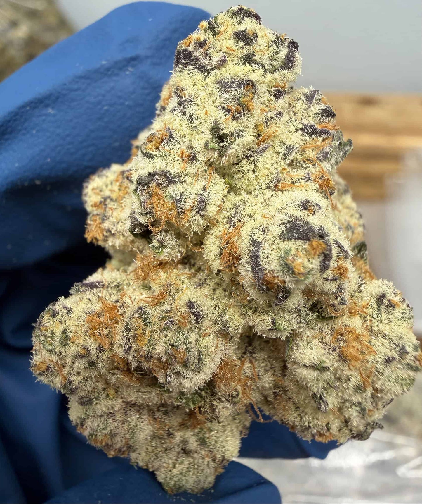 Dante's Inferno THCA Flower