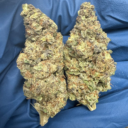 Garlic Mintz THCA Flower