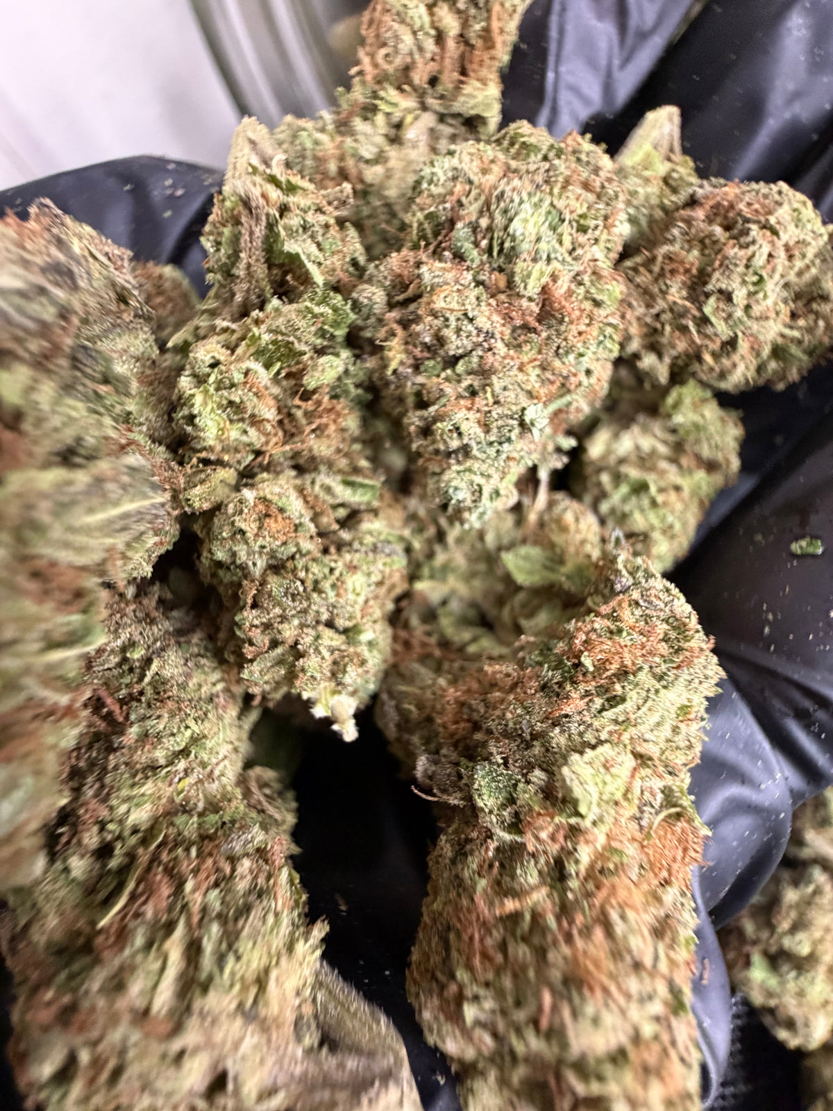 Chem Dawg | THCA Flower