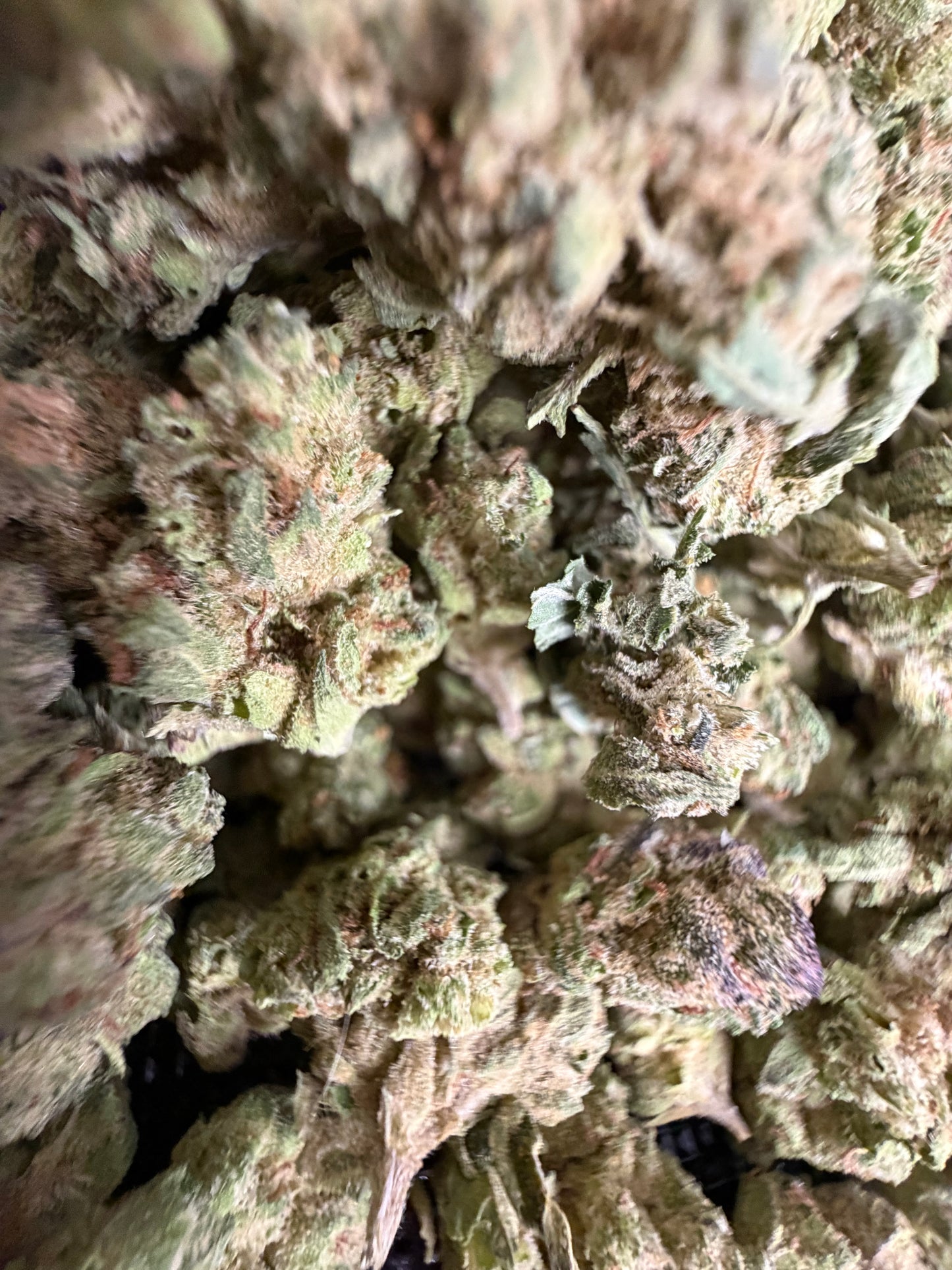 Lemon Cherry Gelato Smalls | THCA Flower