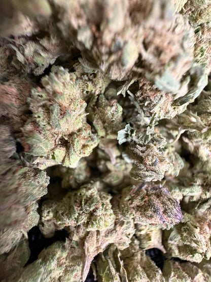 Lemon Cherry Gelato Smalls | THCA Flower