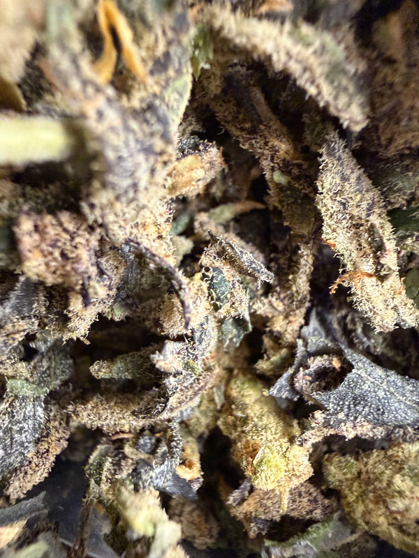 ATF (Alaskan Thunderfuck) | THCA Flower