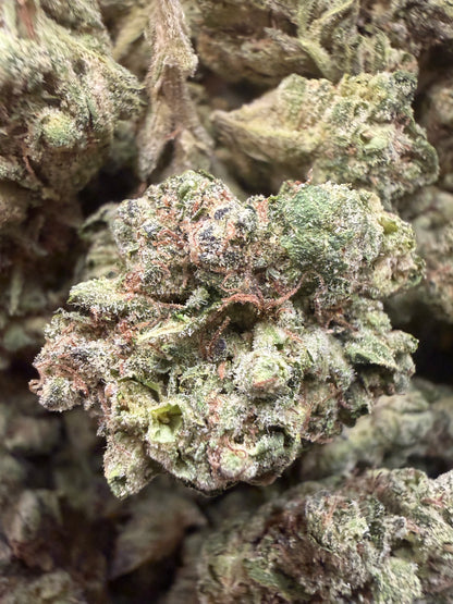 Toad Venom THCA Flower