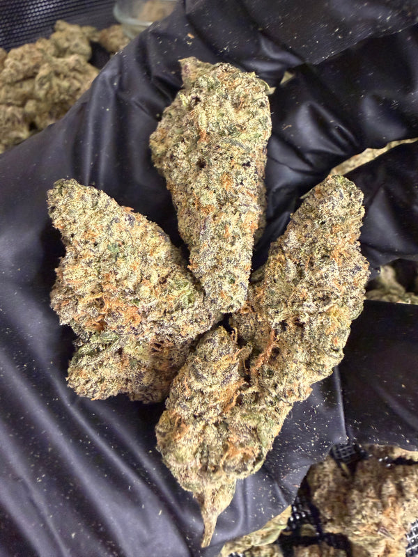 Blue Zangria THCA Flower