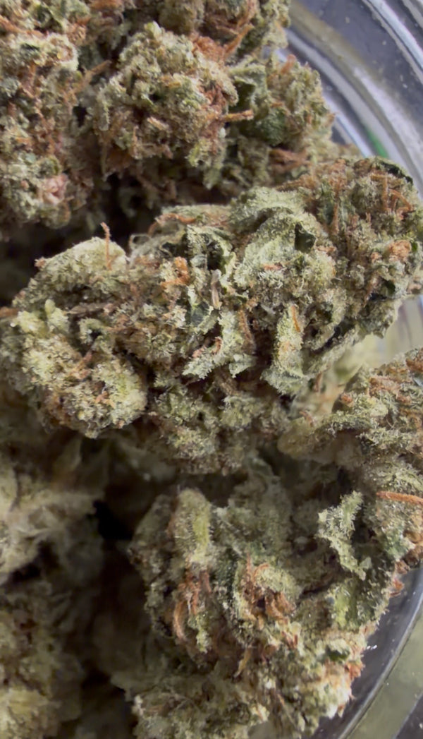 Versace Runtz THCA Flower