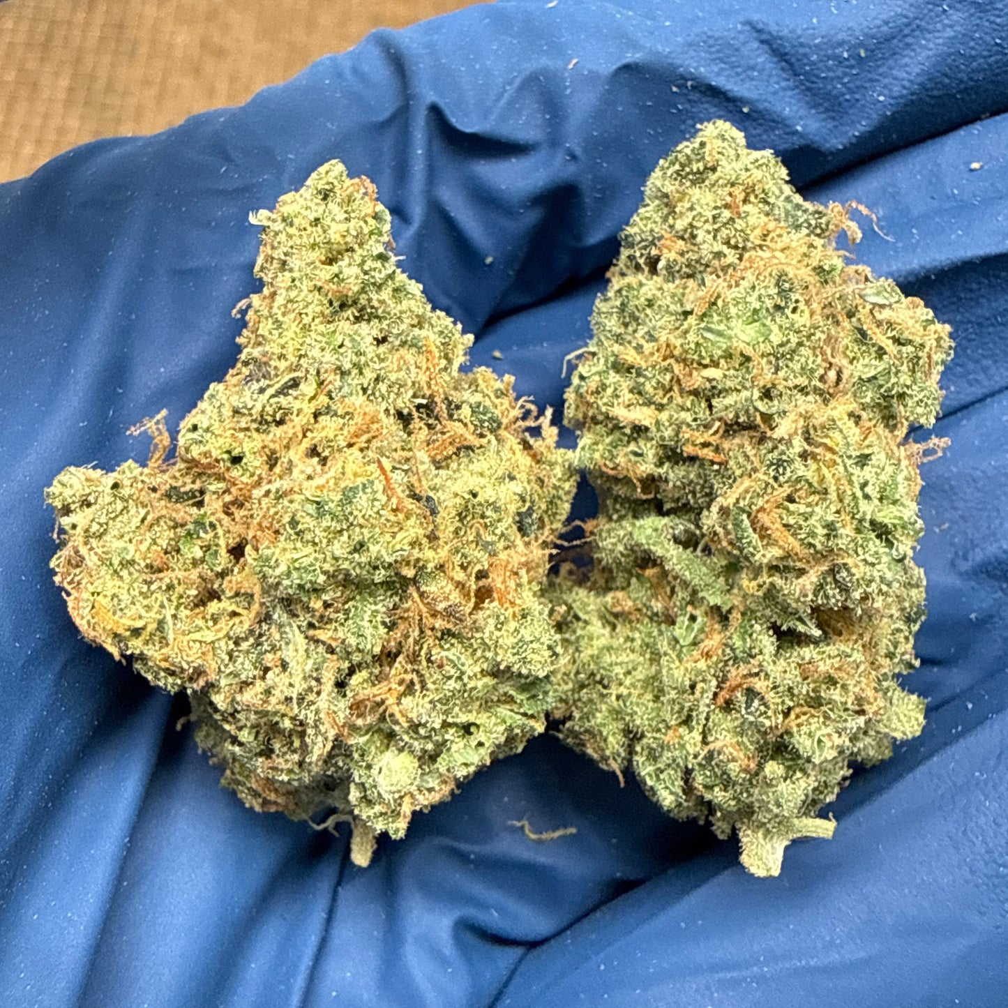 Jack Herer THCA Flower
