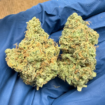 Jack Herer THCA Flower
