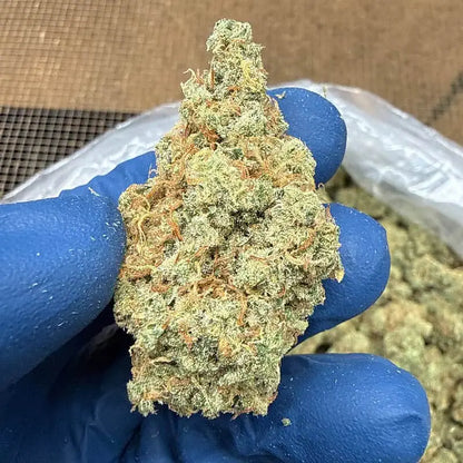 Jack Herer THCA Flower