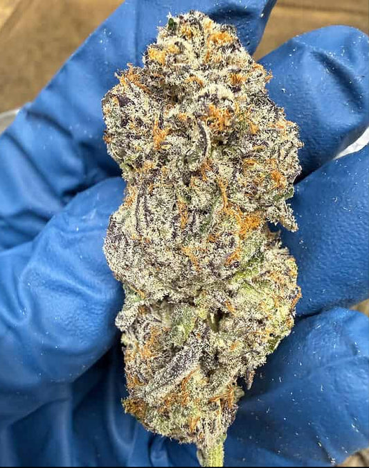 Unicorn Candy THCA Flower