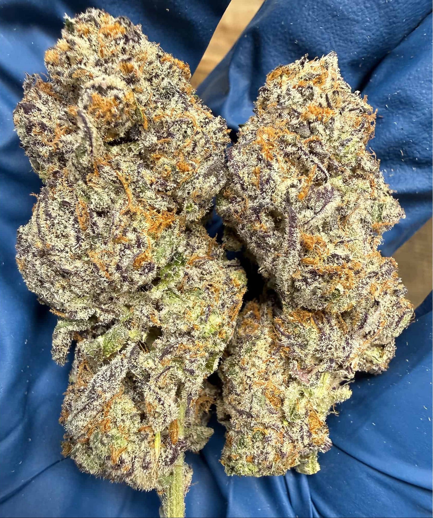 Unicorn Candy THCA Flower