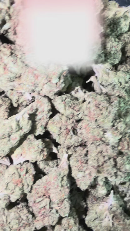 Versace Runtz THCA Flower