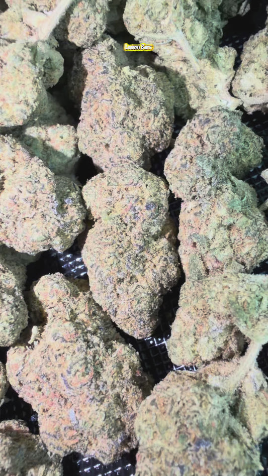 Lemon Bars THCA Flower