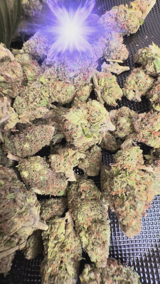 Purple Skunk | THCA Flower