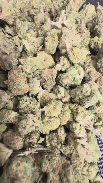 Lemon Cherry Gelato Smalls | THCA Flower