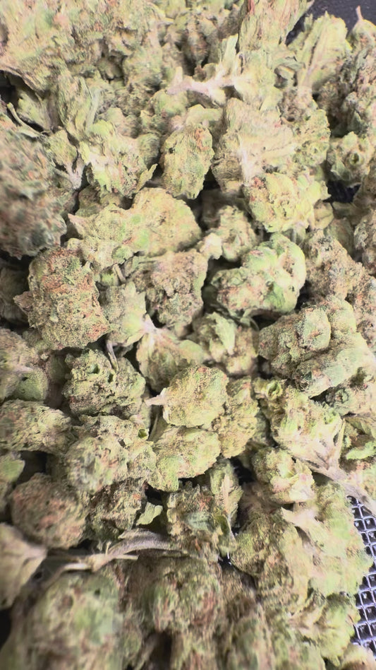 Lemon Cherry Gelato Smalls | THCA Flower