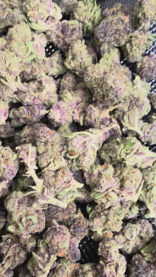 Banana Runtz Smalls | THCA Flower