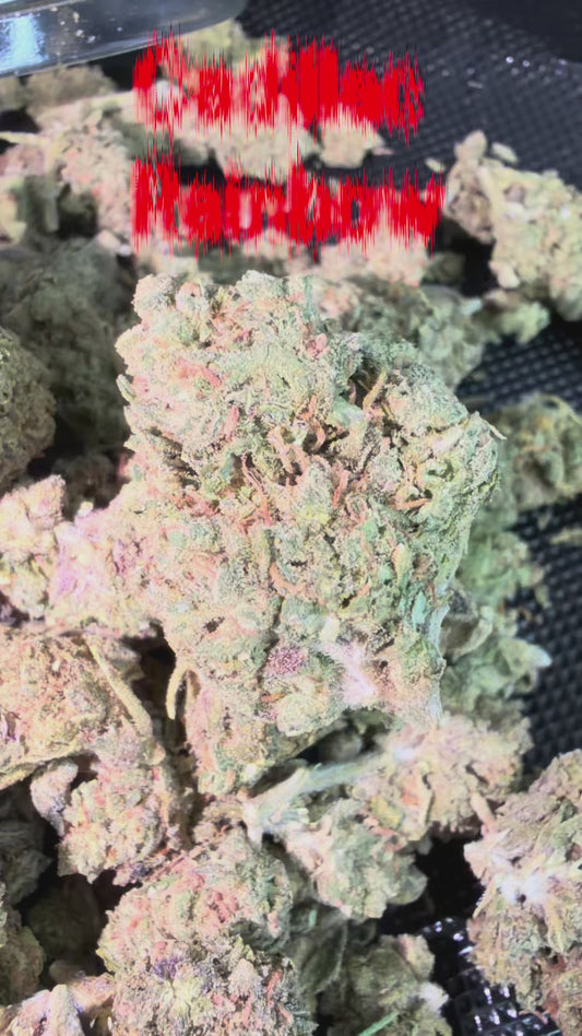 Rainbow Cadillac THCA Flower